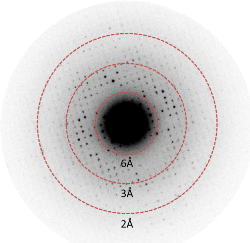 Figure 2. Single electron diffraction pattern taken from lysozyme 