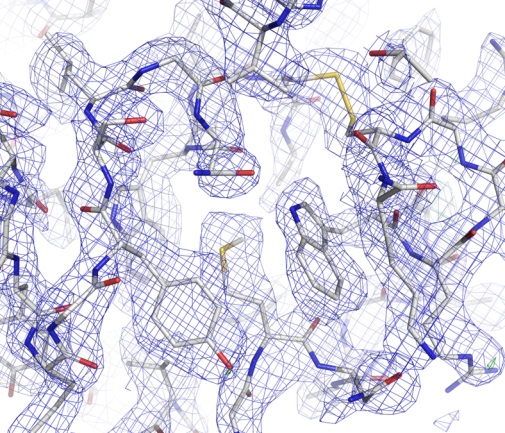 Figure 3. 2.6 Å Lysozyme structure solved from electron diffraction data
