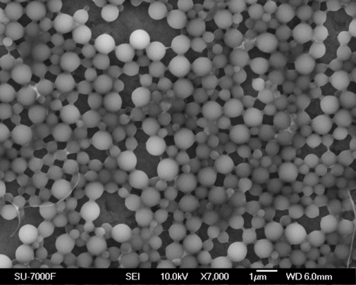 Scanning electron microscopy image of lignin-based anticorrosion particulate coatings on aluminum.